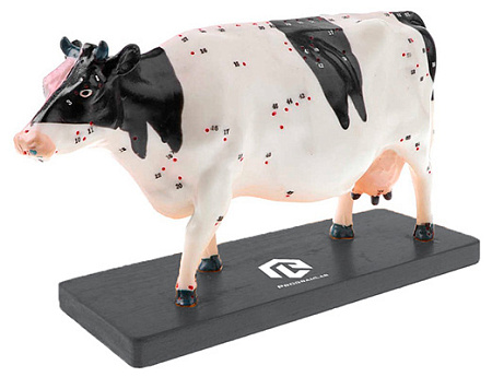 Электрифицированный макет коровы на каркасе