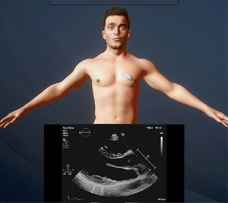 Виртуальный учебный комплекс «Интерактивный трехмерный атлас анатомии человека»