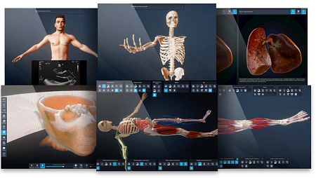 Виртуальный учебный комплекс «Интерактивный трехмерный атлас анатомии человека»